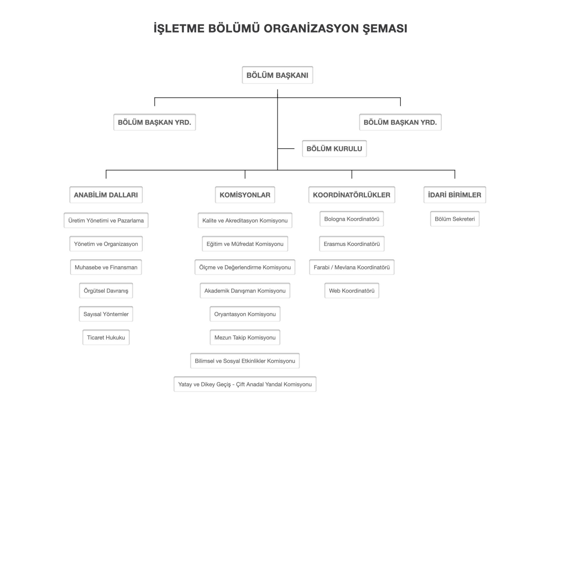 Organizasyon Şeması