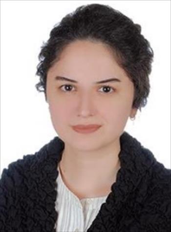 We are pleased to announce the appointment of Dr. Gizem Burcu Karaali as an Assistant Professor in our department.